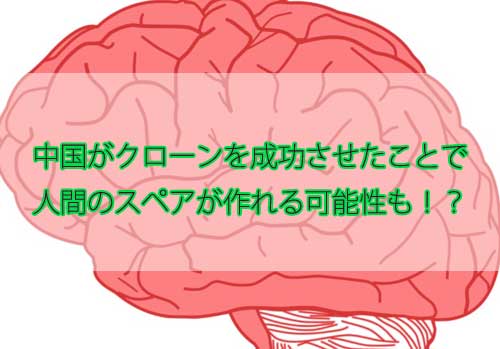 「中国が猿のクローンを成功させたことからクローンの未来や肉体は魂の入れ物(器)という言葉を考える」のアイキャッチ画像