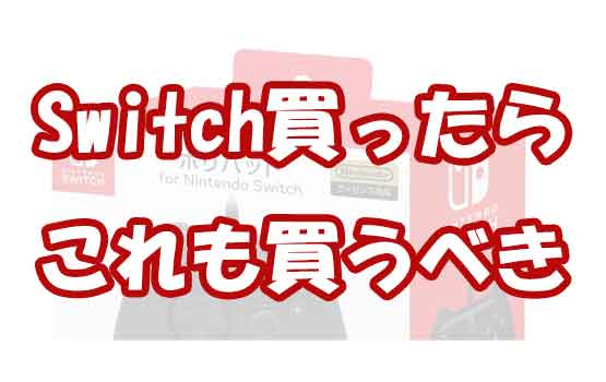 Nintendo Switchと一緒に買うべきものは？周辺機器等おすすめを紹介！ | アリカワブログ